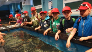 W Akwarium każdy z nas mógł dotknąć rybkę. To była wspaniała wycieczka.